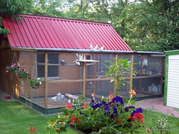 393912_357749597573224_1662868472_n