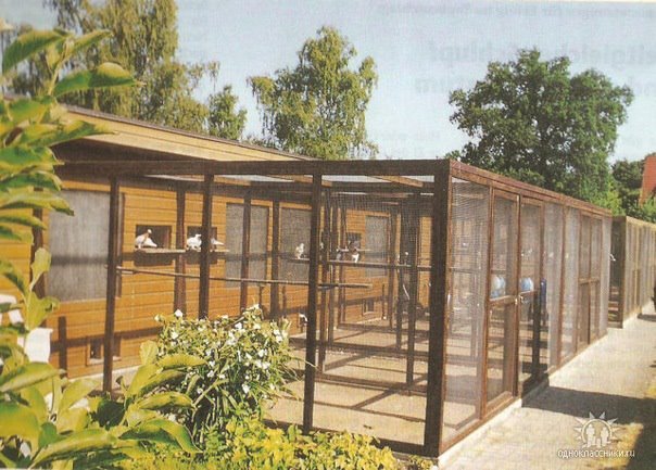 394408_357749477573236_1069782025_n