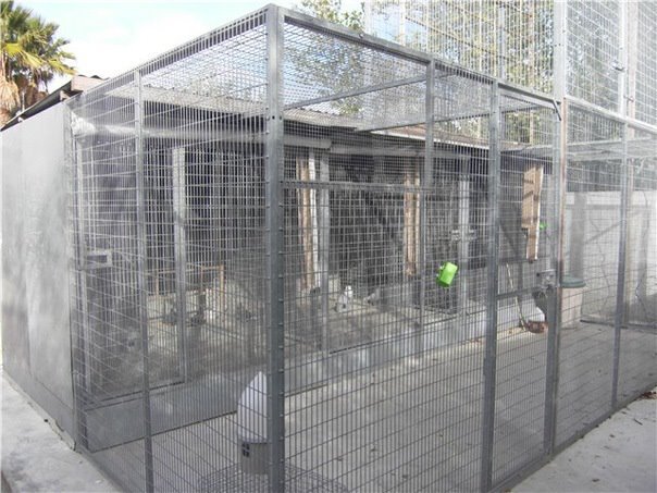 397599_357749640906553_924786927_n