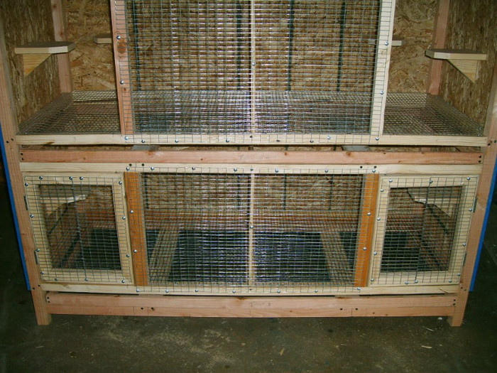 406259_467203306636866_907673592_n