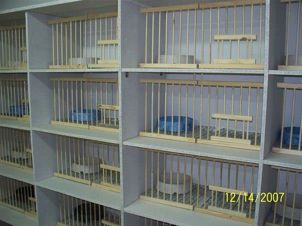 417392_371681196180064_395584257_n