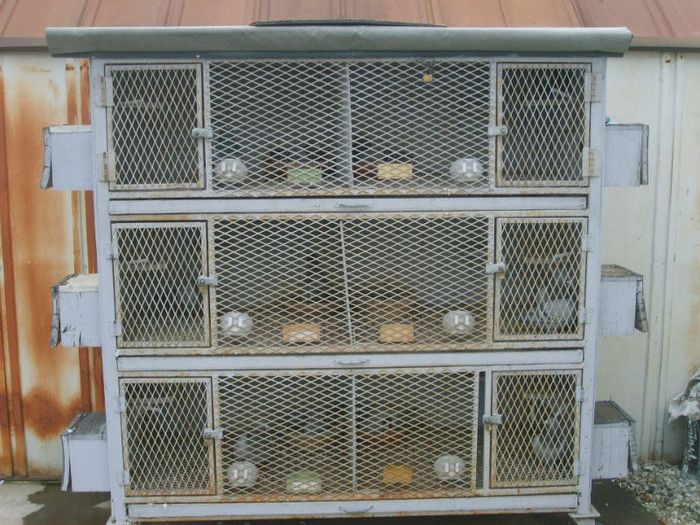 419592_345556688801529_66082980_n