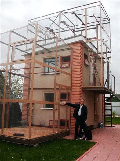 422599_375981705750013_825540382_n