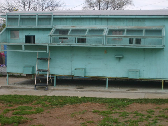 424151_345556318801566_1101632119_n