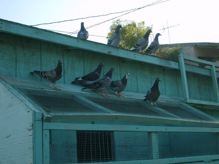 427239_463873896969807_2058436945_n