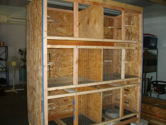 480024_467202793303584_1551331004_n