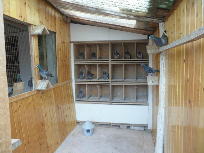 527241_375532282518825_1026380355_n