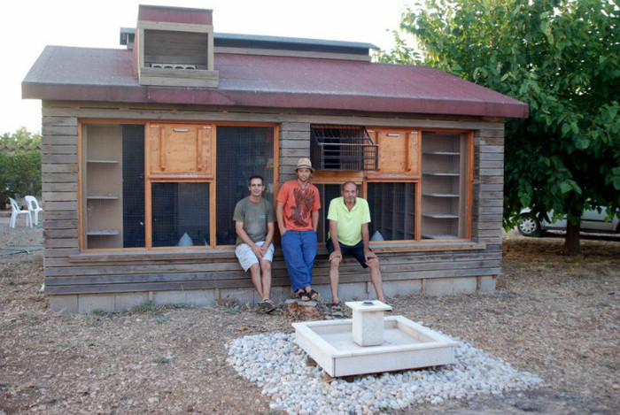 539071_345133128902304_1538558344_n