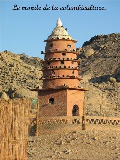 540676_445499288798254_1524721702_n