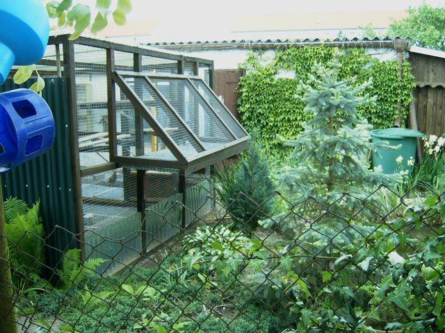 541453_418517741496409_395028316_n