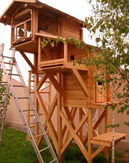 542032_465280460153470_795231916_n