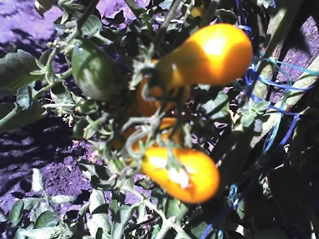 20-08-12_1152