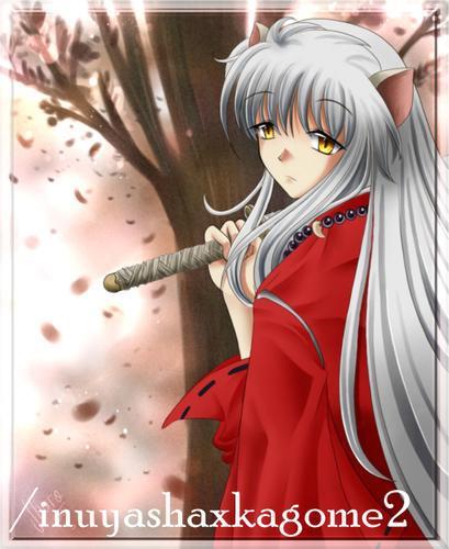 2 - Inuyasha imagini