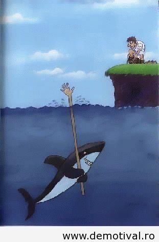 Rechinii-au-imaginatie
