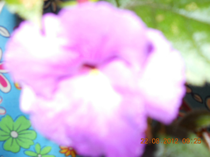 frumos