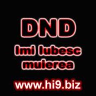 dnd imi iubesc muierea copy