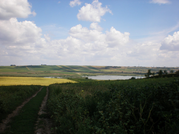 P8190015 - Botosani-Dorohoi