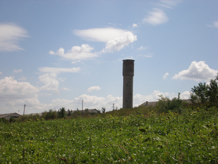 P8190021 - Botosani-Dorohoi