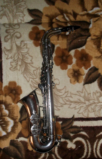 Picture 012 - SAX ALTO TIMIS SUPERIOR