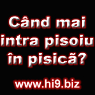 cand mai intra pisoiu in pisica - www Hi9 biz