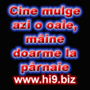 cine mulge azi o oaie maine doarme la parnaie - www Hi9 biz