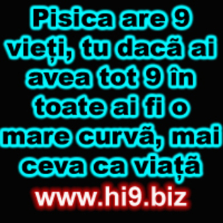 pisica are 9 vieti u daca ai avea tot 9 in toate ai fi o mare curva mai ceva ca viata - www Hi9 biz