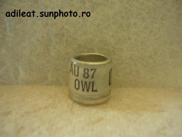 AMERICA-1987-OWL - AMERICA-ring collection