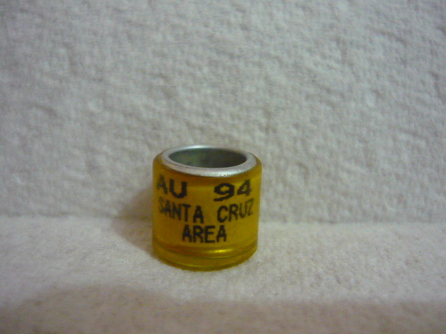 AMERICA-1994-SANTRACRUZ - AMERICA-ring collection