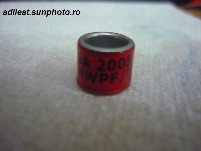 AMERICA-2005-SA-NWPF - AMERICA-ring collection