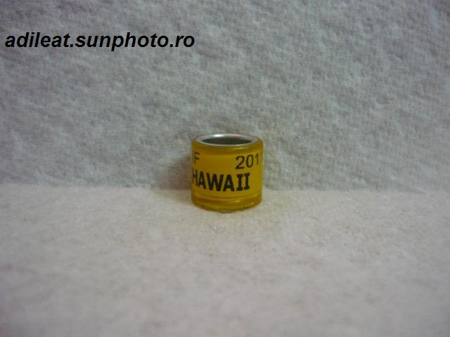 AMERICA-2011-IF-HAWAII - AMERICA-ring collection