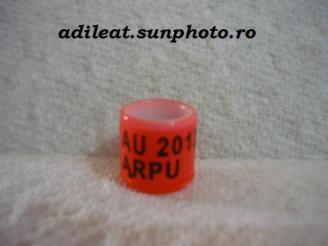 AMERICA-2012-ARPU - AMERICA-ring collection