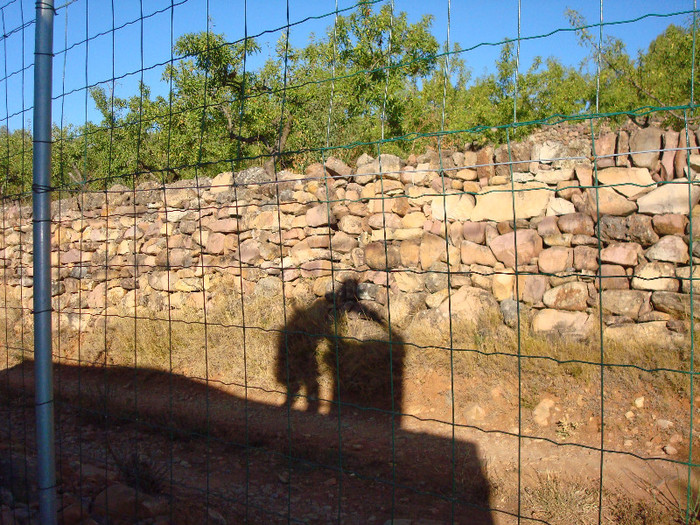 sus pe casa; se umplea bidonul cu apa
