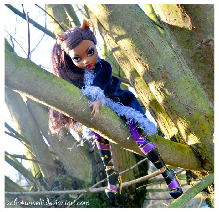 clawdeen___wolves_are_not_cats_by_ellisphotobox-d4wywrq