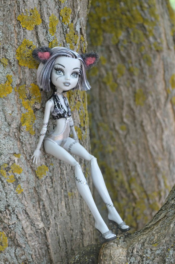 frankie_cat_by_maryka_di_gold-d54koje - monster high 2