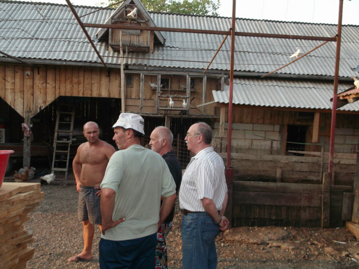 Picture 4503 - FERMA LUI CRISTI ROMAN  BADA