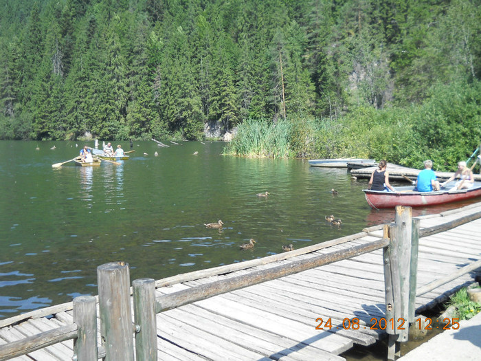 24.08.2012 088 - PEISAJE LACUL ROSU-CHEILE BICAZULUI