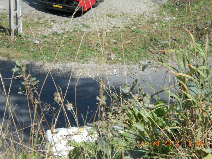 24.08.2012 121 - PEISAJE LACUL ROSU-CHEILE BICAZULUI