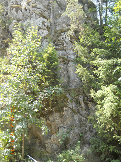 24.08.2012 126 - PEISAJE LACUL ROSU-CHEILE BICAZULUI