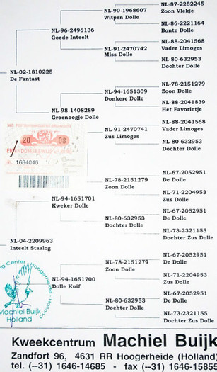 nl_1684046_pdg
