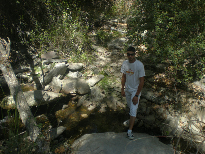 P8040726 - eu
