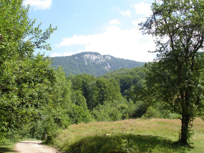 DSC02401 - Padis - Bihor - 2006