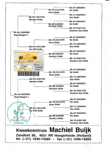 nl-2009-1330861-pedigree