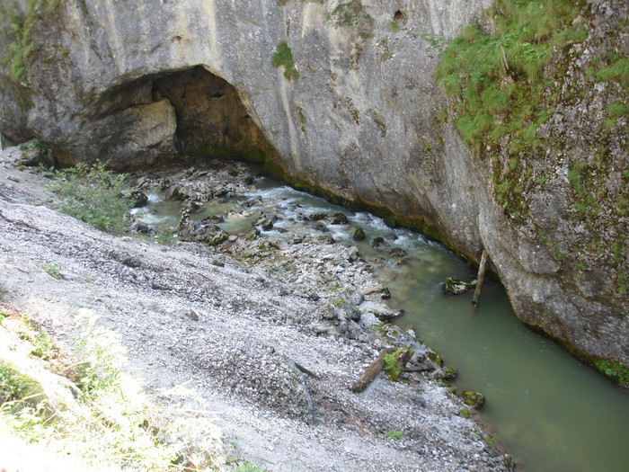 DSC02415 - Padis - Bihor - 2006