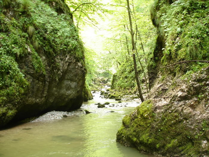 DSC02427 - Padis - Bihor - 2006