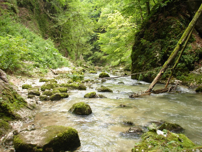 DSC02434 - Padis - Bihor - 2006