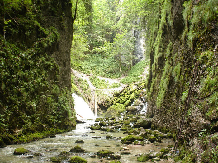 DSC02436 - Padis - Bihor - 2006