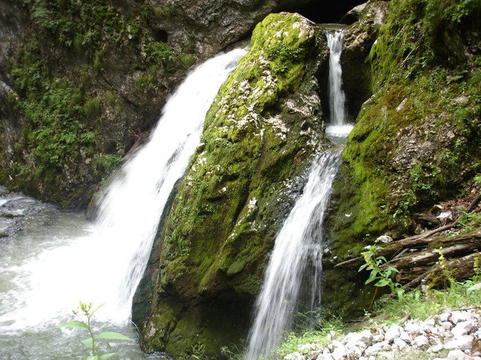 DSC02437 - Padis - Bihor - 2006