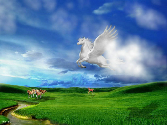 Animale in 3d - imagini 3d  gratuit