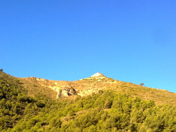 "pipa" sau samanta de floarea soarelui - A3 in fuga masini-cer si pamant