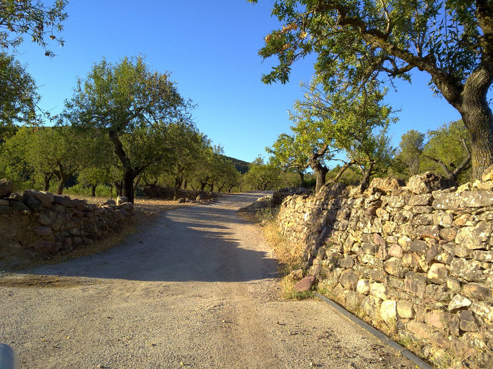 250820123836 - A3 in fuga masini-cer si pamant